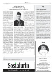 Síða 13