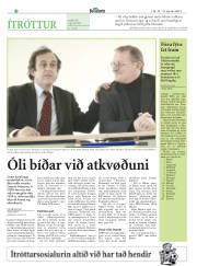 Síða 22