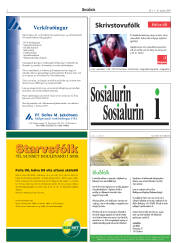 Síða 2