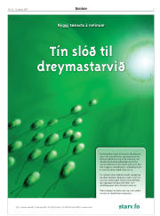Síða 3