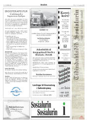 Síða 32