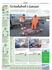 Síða 43