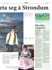 Síða 25