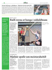 Síða 28