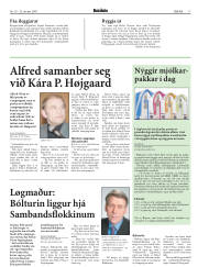 Síða 17