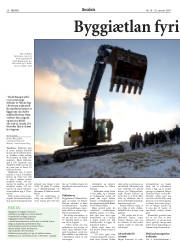 Síða 20