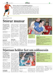 Síða 29