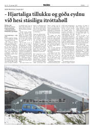 Síða 17