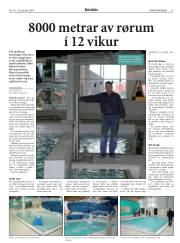 Síða 21