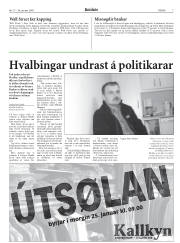 Síða 7