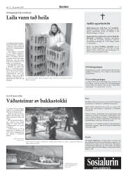 Síða 13