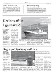 Síða 15