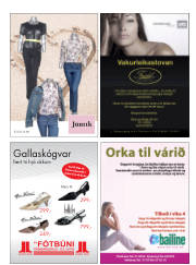 Síða 29