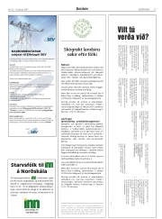 Síða 33