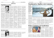 Síða 7