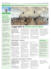 Síða 20