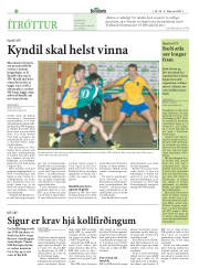 Síða 26