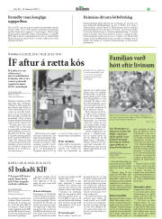 Síða 25