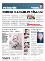 Síða 2