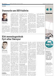 Síða 22