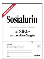 Síða 23