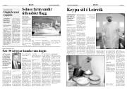 Síða 4