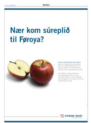Síða 3