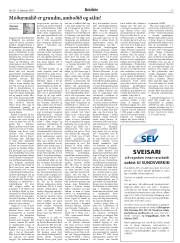 Síða 13