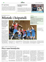 Síða 28