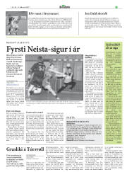 Síða 29