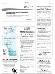 Síða 28