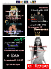 Síða 31