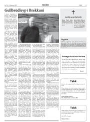Síða 13