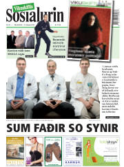 Síða 1