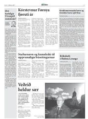 Síða 13