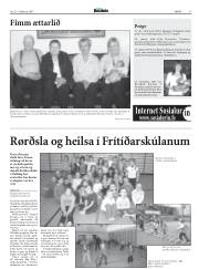 Síða 17