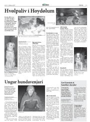 Síða 19