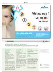 Síða 24