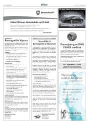 Síða 38