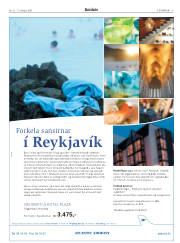 Síða 3