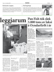 Síða 13