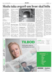 Síða 21