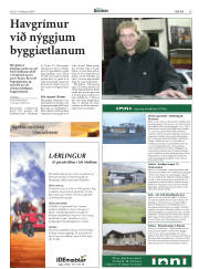 Síða 29