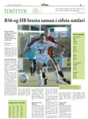 Síða 17