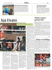Síða 19