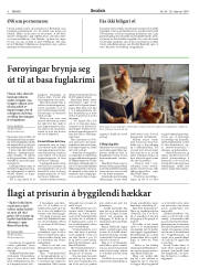 Síða 6