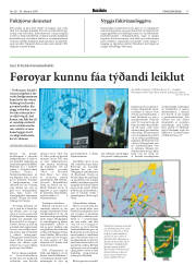 Síða 17