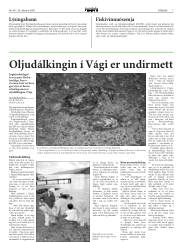 Síða 7