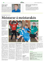 Síða 22