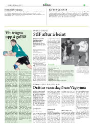 Síða 23